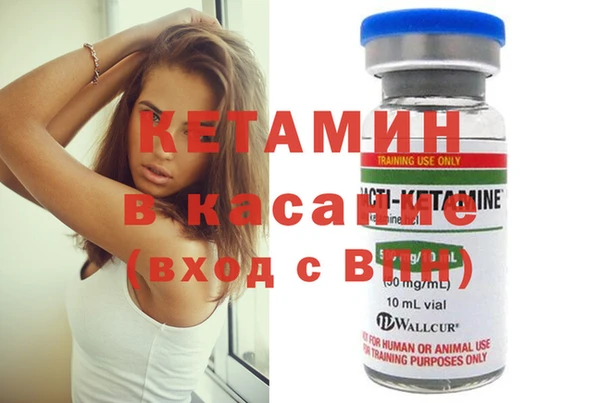 индика Верея