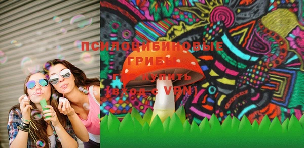 индика Верея