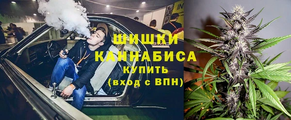 индика Верея