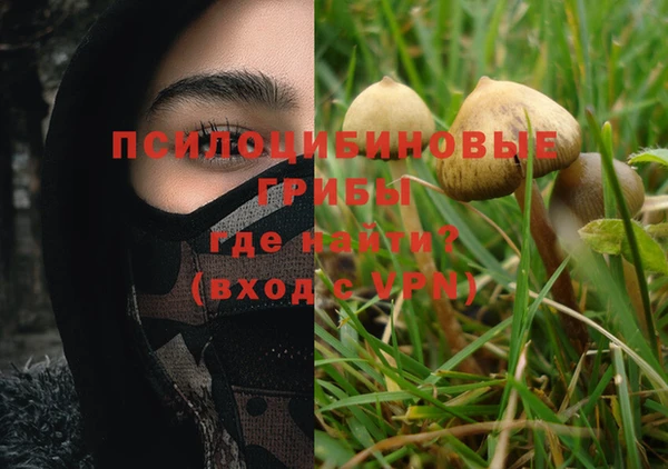 индика Верея
