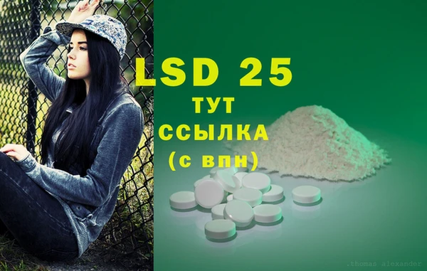индика Верея