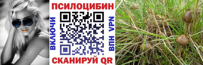 Галлюциногенные грибы Psilocybine cubensis  Нерюнгри 